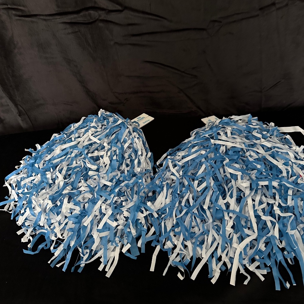 A set of 2 cheerleading Pom poms The Citadel Bulldogs on finger tabs